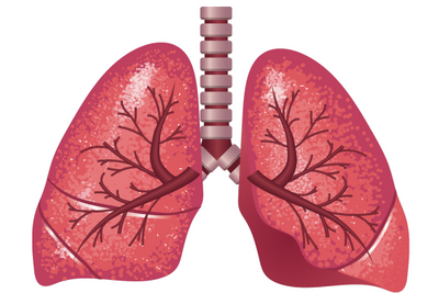 Cellule Staminali e Malattie Polmonari: Salute e Terapia